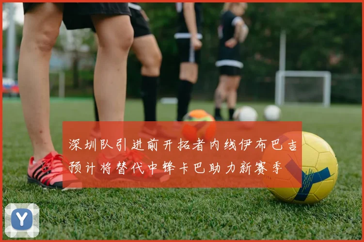 深圳队引进前开拓者内线伊布巴吉预计将替代中锋卡巴助力新赛季